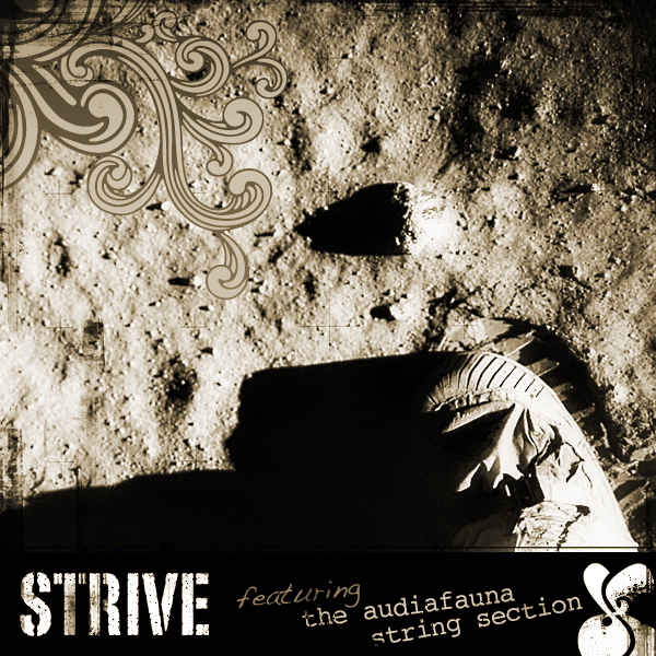 STRIVE - 2010